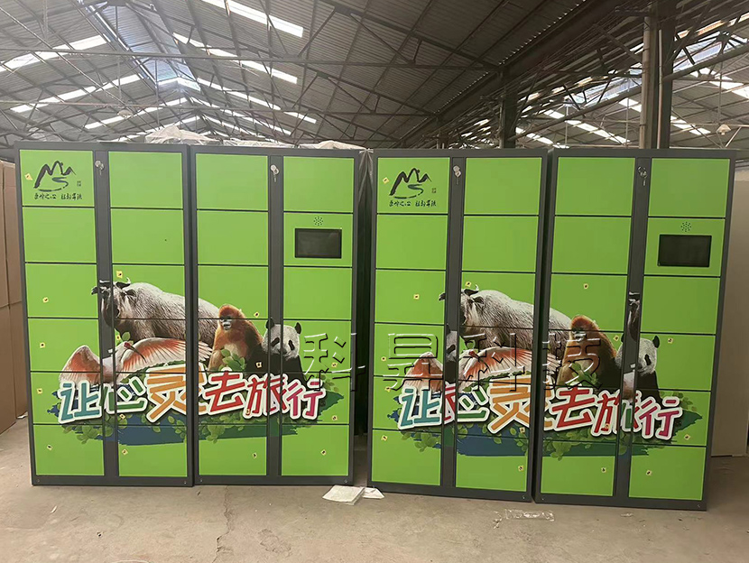 景區微信掃碼智能共享寄存柜儲物柜-CW02